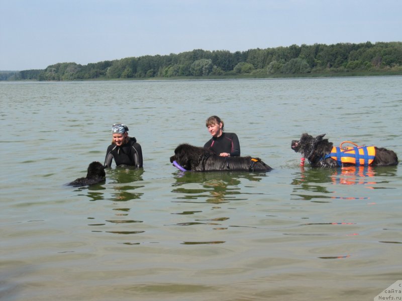 Фотография № 237566