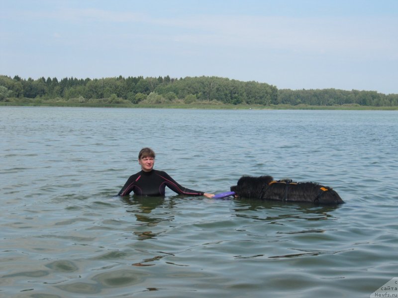 Фотография № 237567