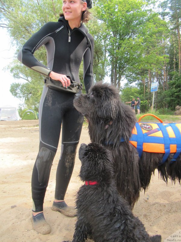 Фотография № 237571