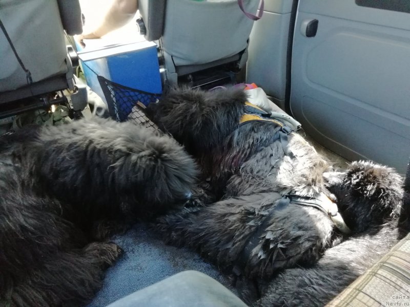 Фотография № 237576