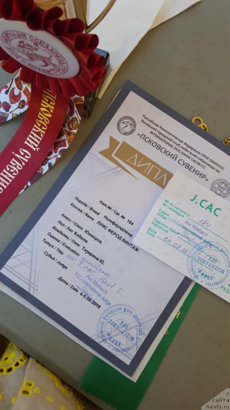 Фотография № 237611