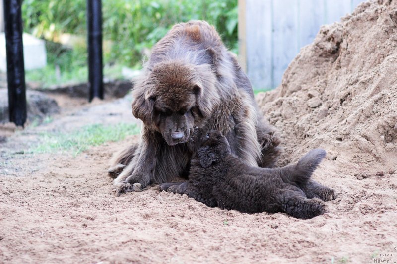 Фотография № 237626