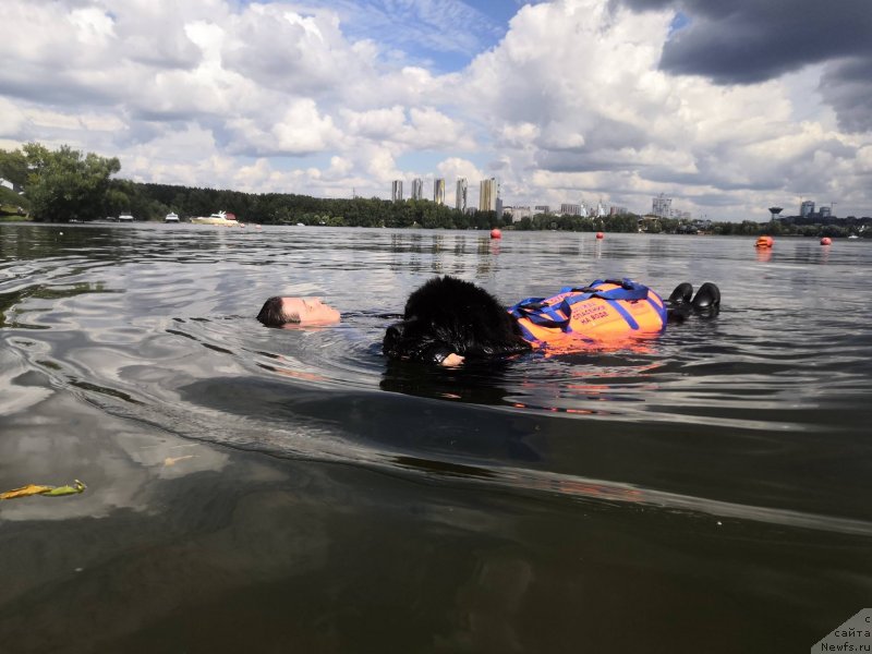 Фотография № 237638