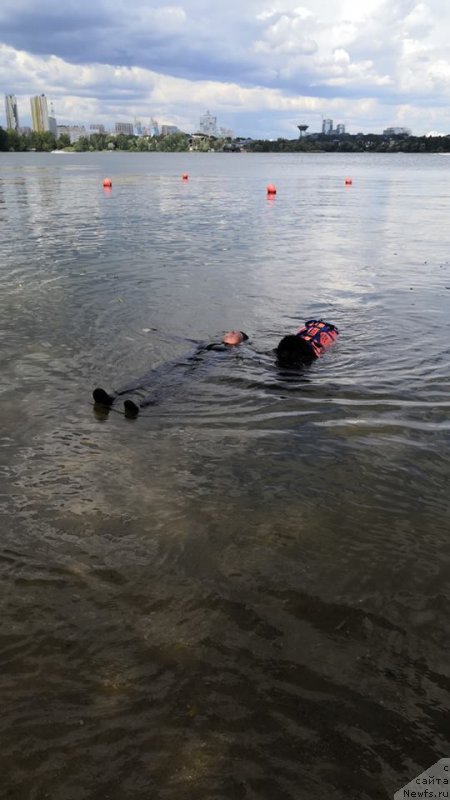 Фотография № 237639