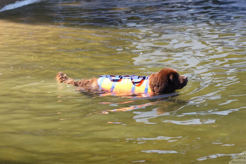 Фотография № 237642