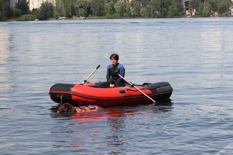 Фотография № 237643