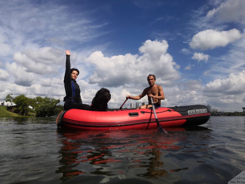 Фотография № 237648