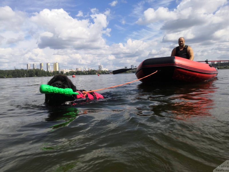 Фотография № 237663