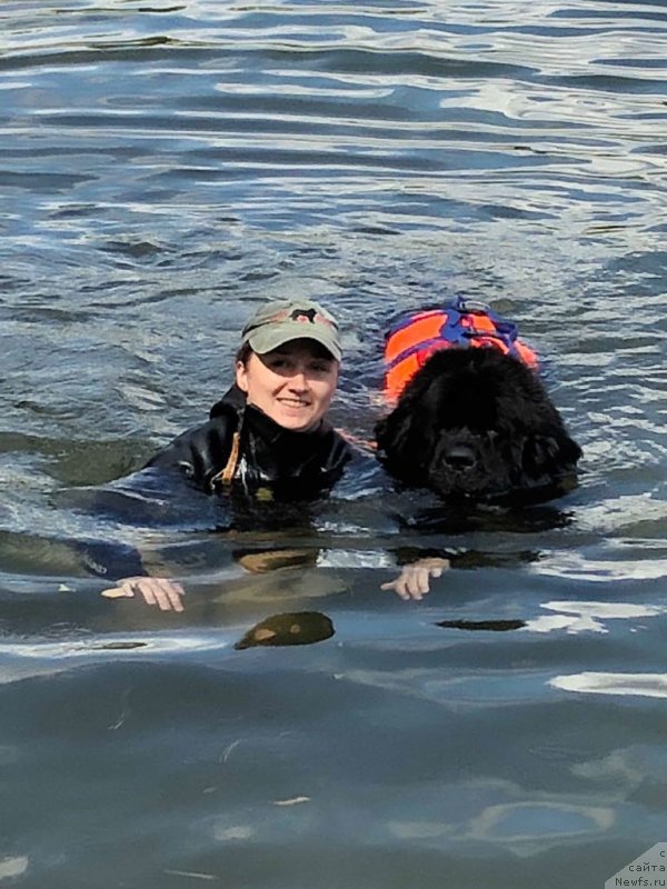 Фотография № 237665