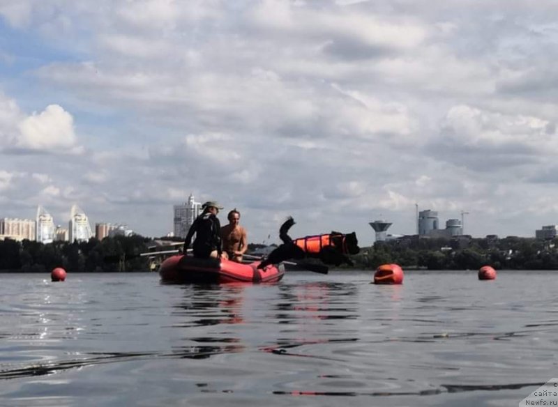 Фотография № 237667