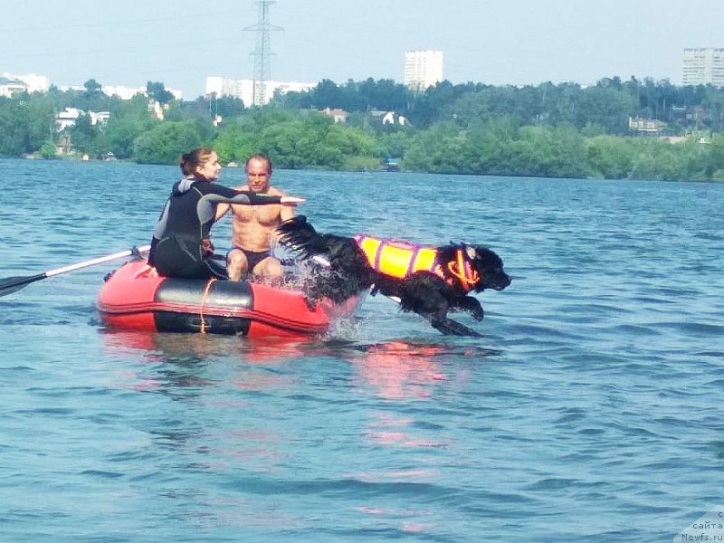 Фотография № 237671