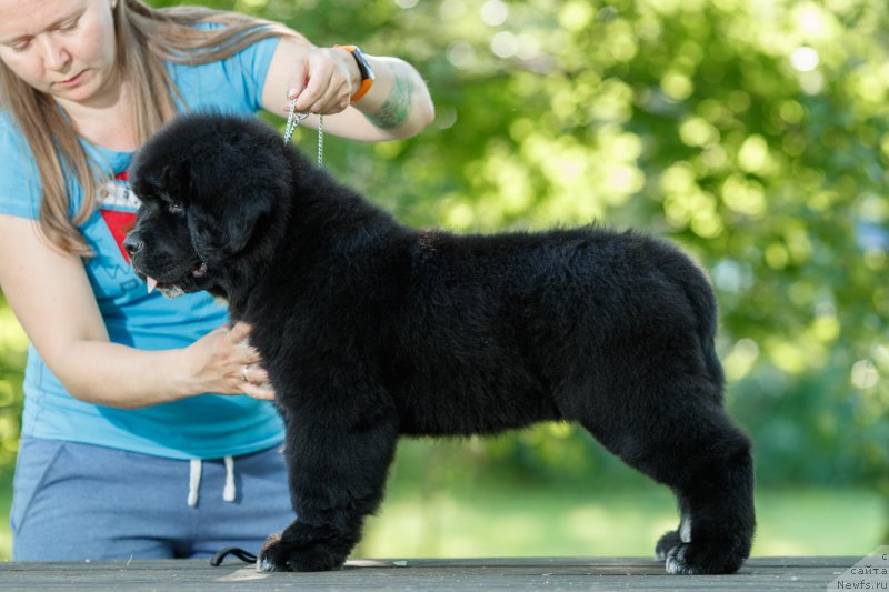 Фотография № 237685