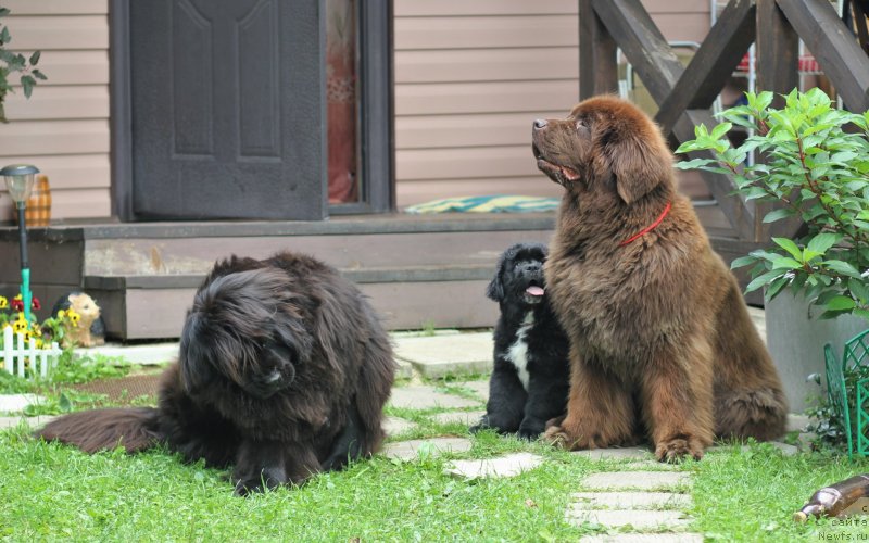 Фотография № 237688