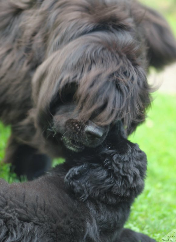 Фотография № 237689