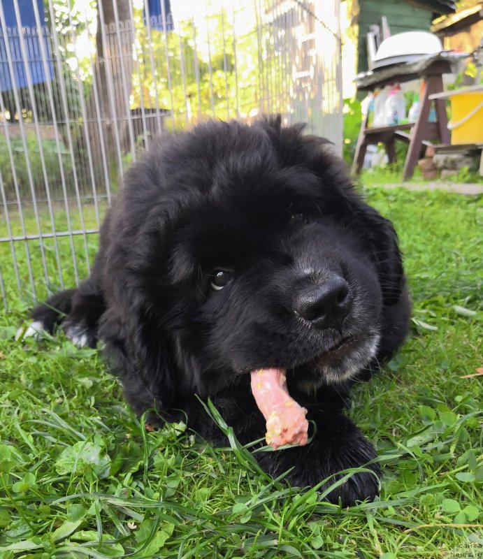 Фотография № 237690