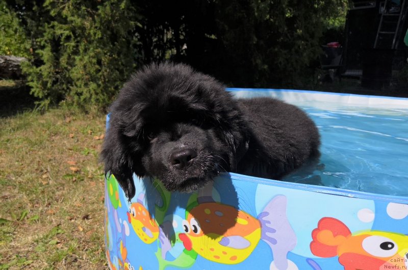 Фотография № 237691