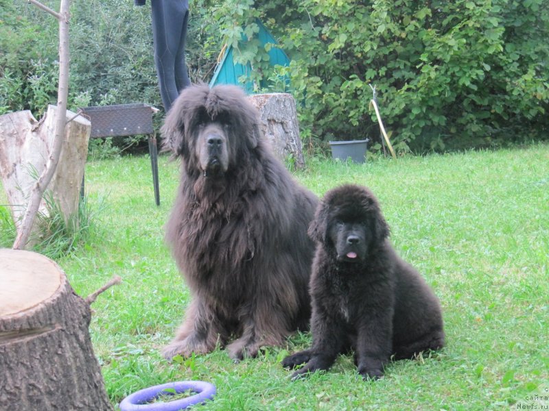 Фотография № 237695