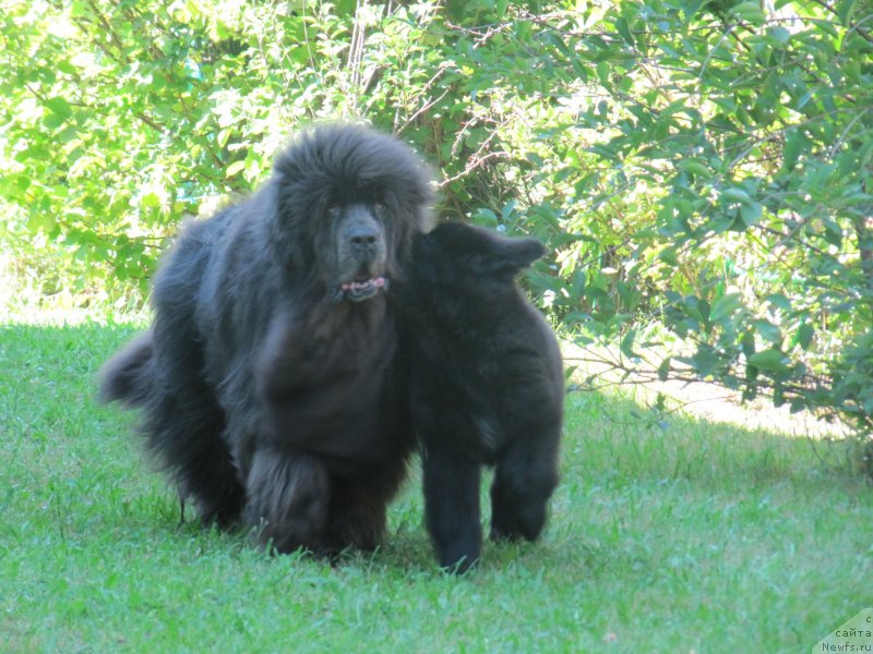 Фотография № 237778