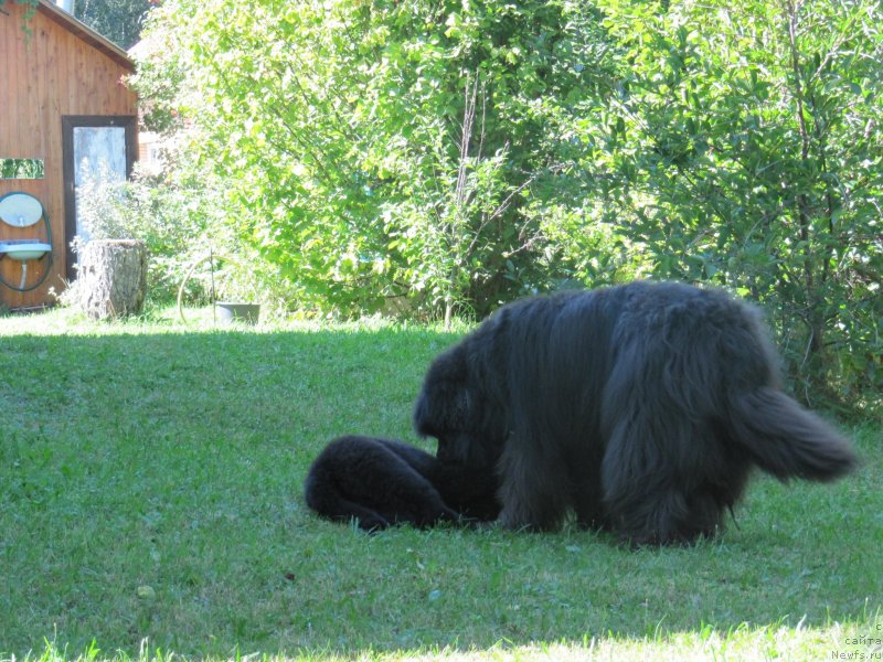 Фотография № 237782