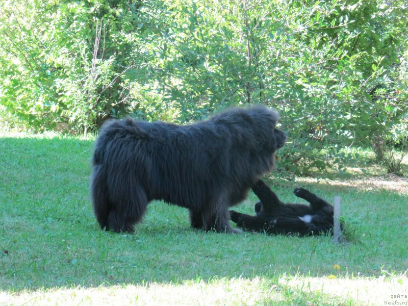 Фотография № 237783