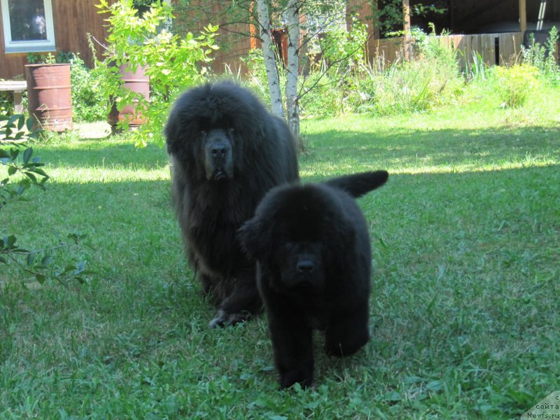 Фотография № 237784