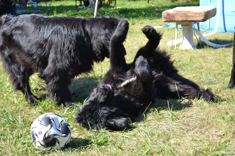 Фотография № 237790