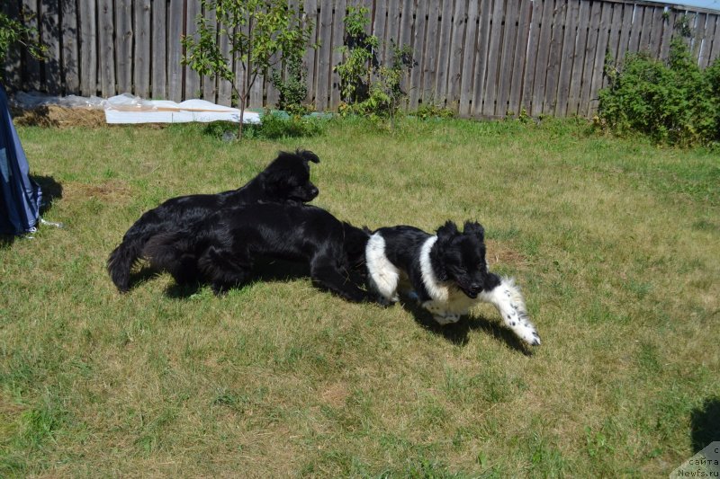 Фотография № 237792