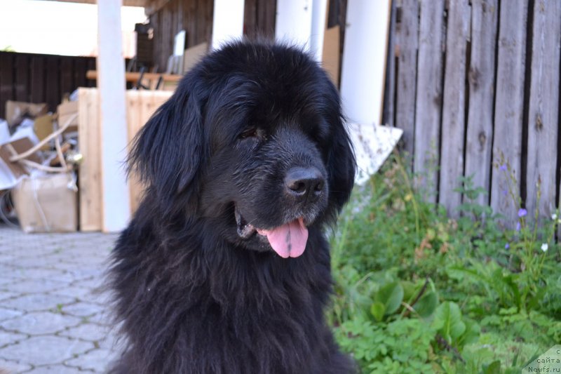 Фотография № 237794