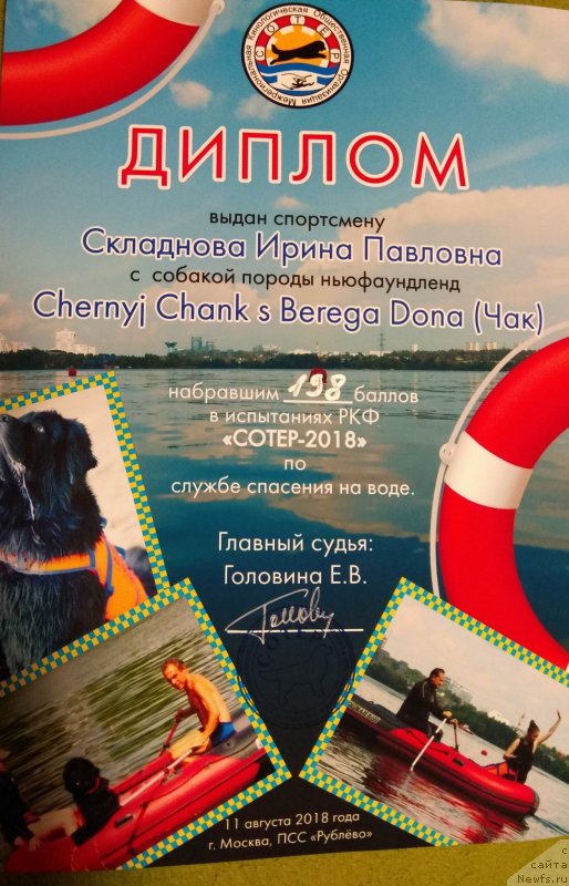 Фото: ньюфаундленд Chernyj Chank s Berega Dona (Черный Чанк с Берега Дона)