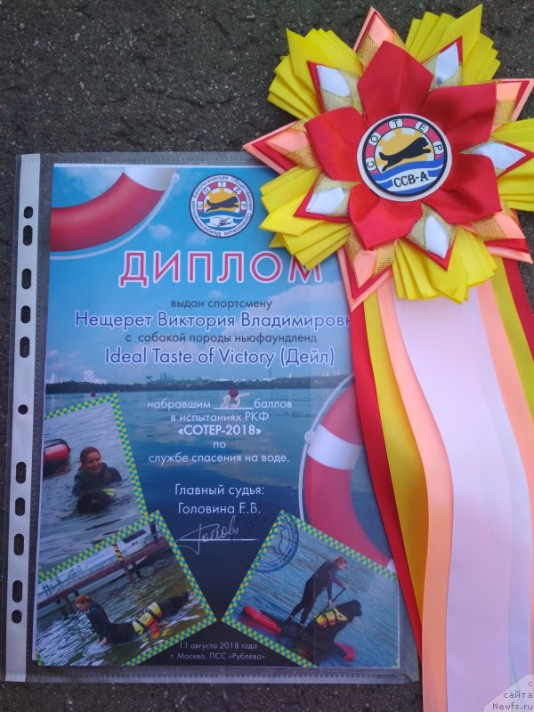 Фотография № 237799