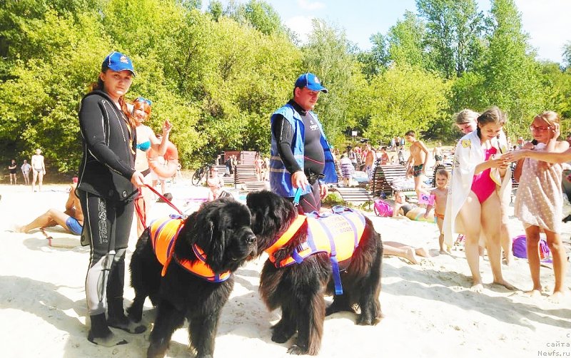 Фотография № 237804