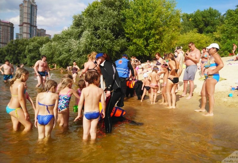 Фотография № 237805