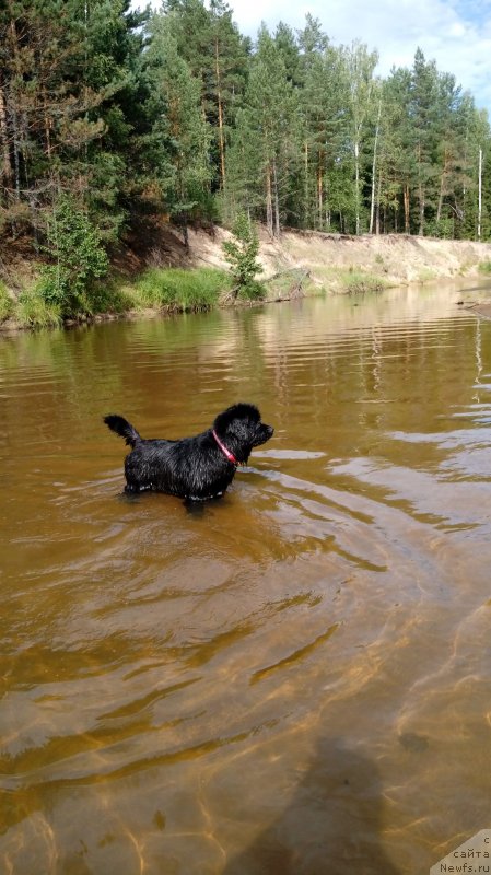 Фотография № 237814