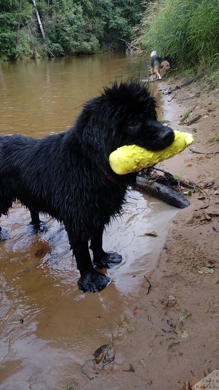 Фотография № 237816