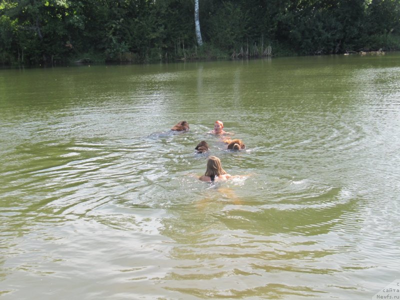 Фотография № 237842