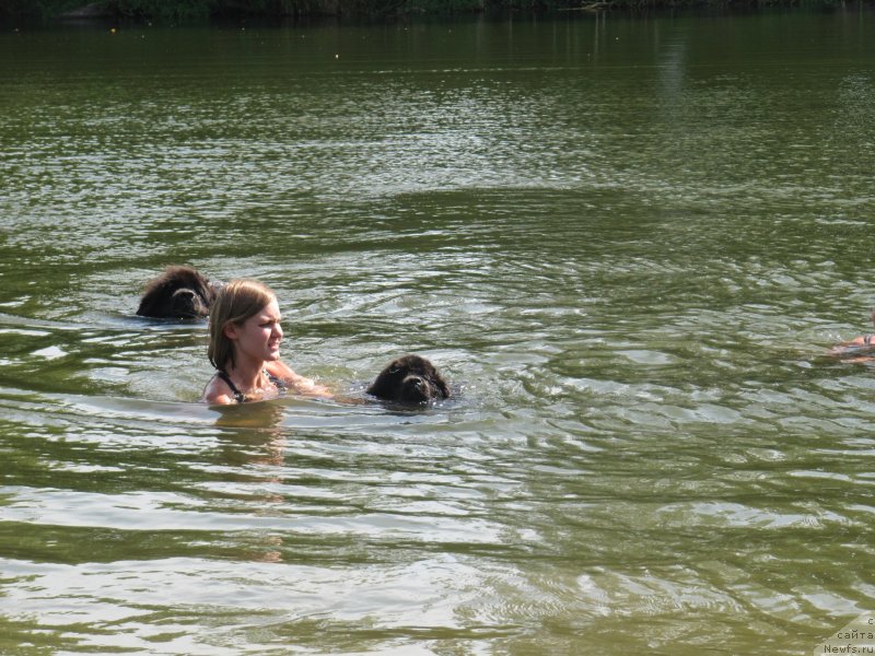 Фотография № 237844