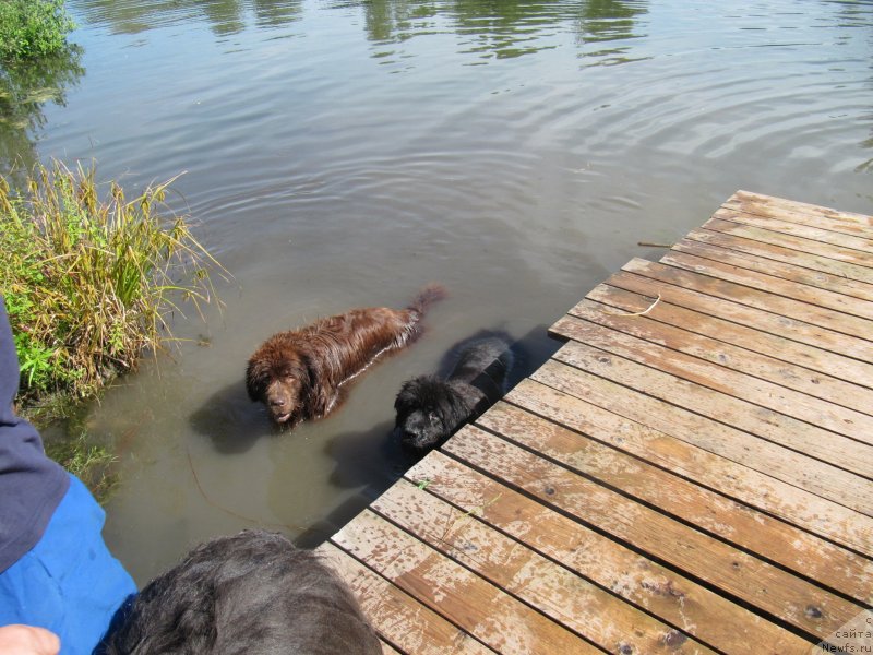 Фотография № 237846