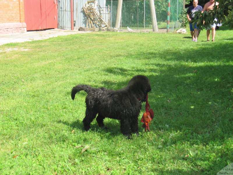 Фотография № 237848