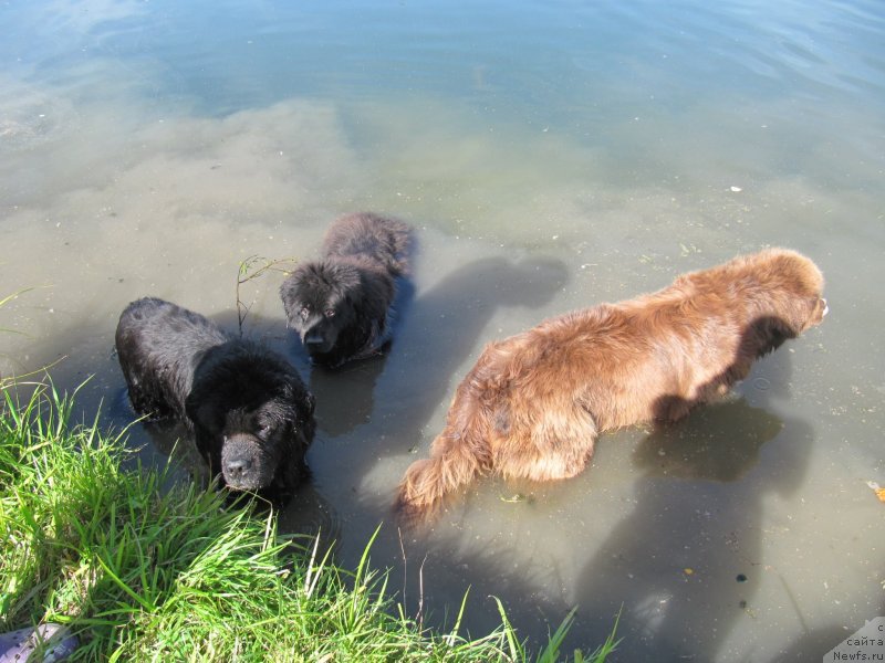 Фотография № 237849