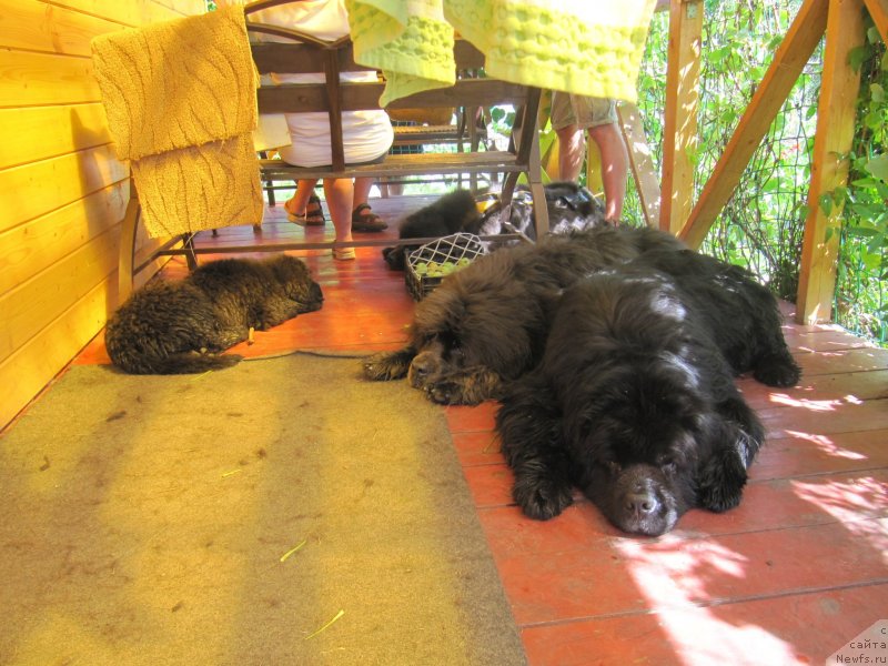 Фотография № 237850