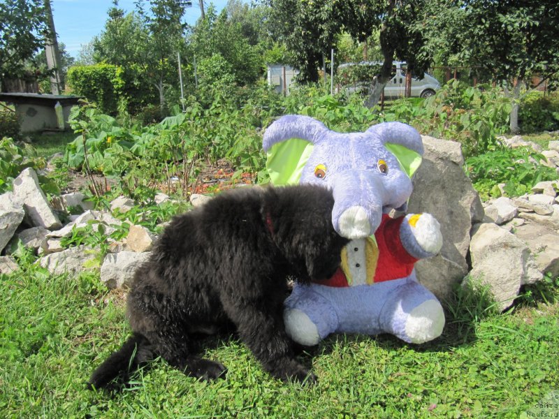 Фотография № 237851