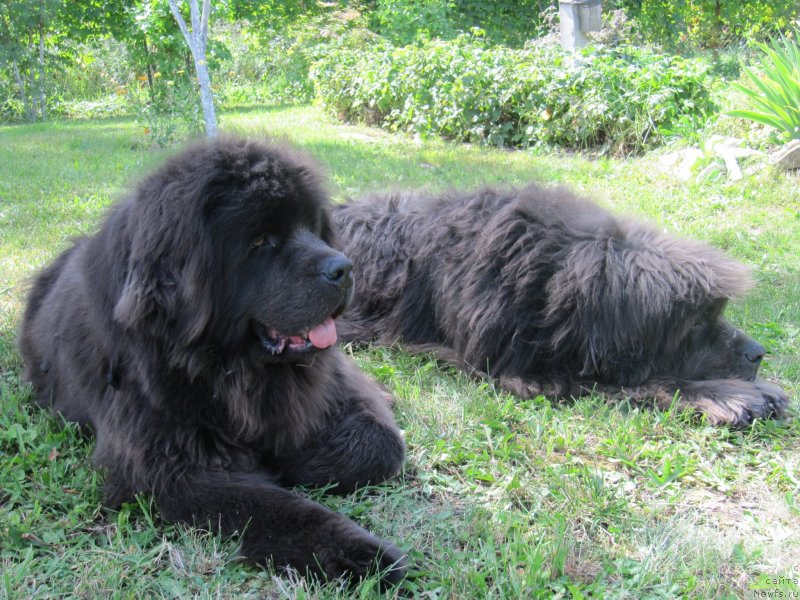 Фотография № 237852