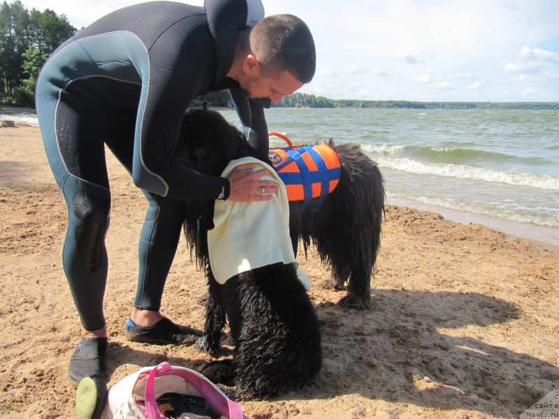 Фотография № 237854