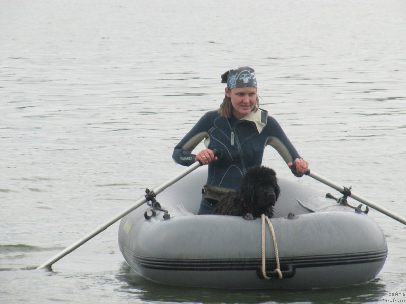 Фото: ньюфаундленд Richchi s Berega Dona (Риччи с Берега Дона), Anastasiya Kireeva (Анастасия Киреева)
