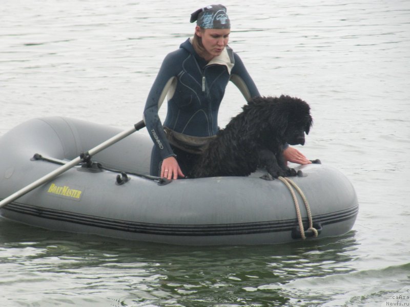 Фото: Anastasiya Kireeva (Анастасия Киреева), ньюфаундленд Richchi s Berega Dona (Риччи с Берега Дона)