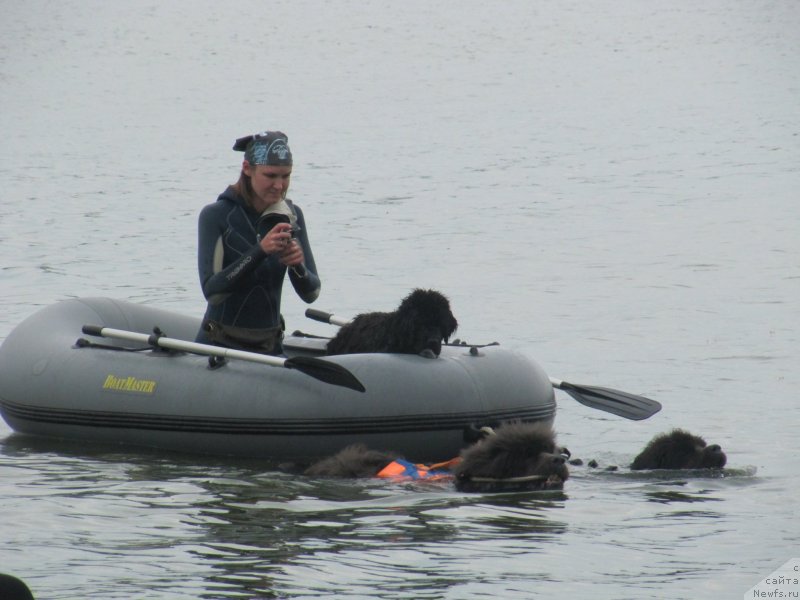 Фотография № 237894