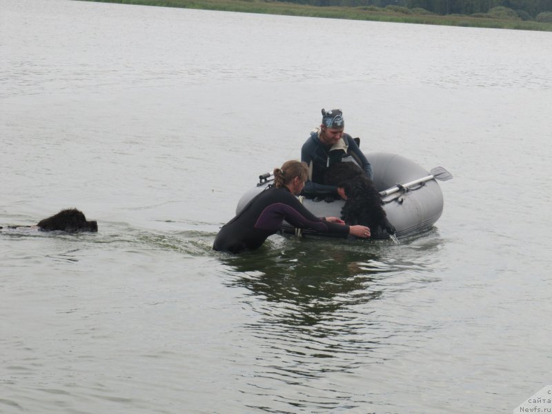 Фотография № 237897