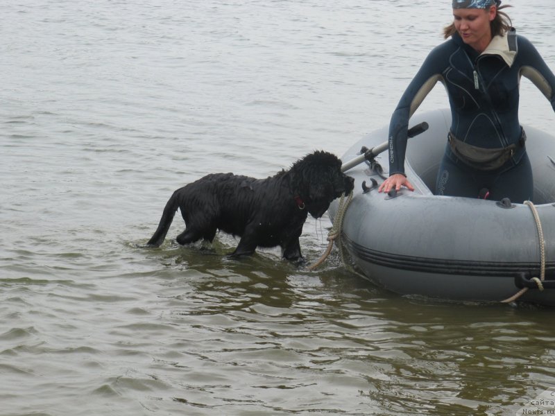 Фотография № 237898