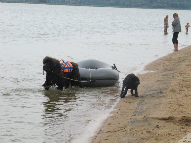 Фотография № 237899