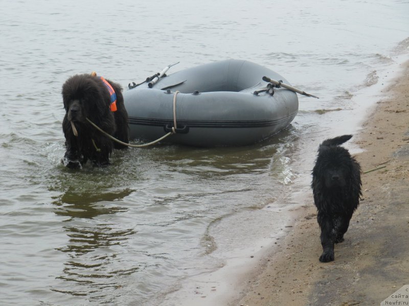 Фотография № 237900